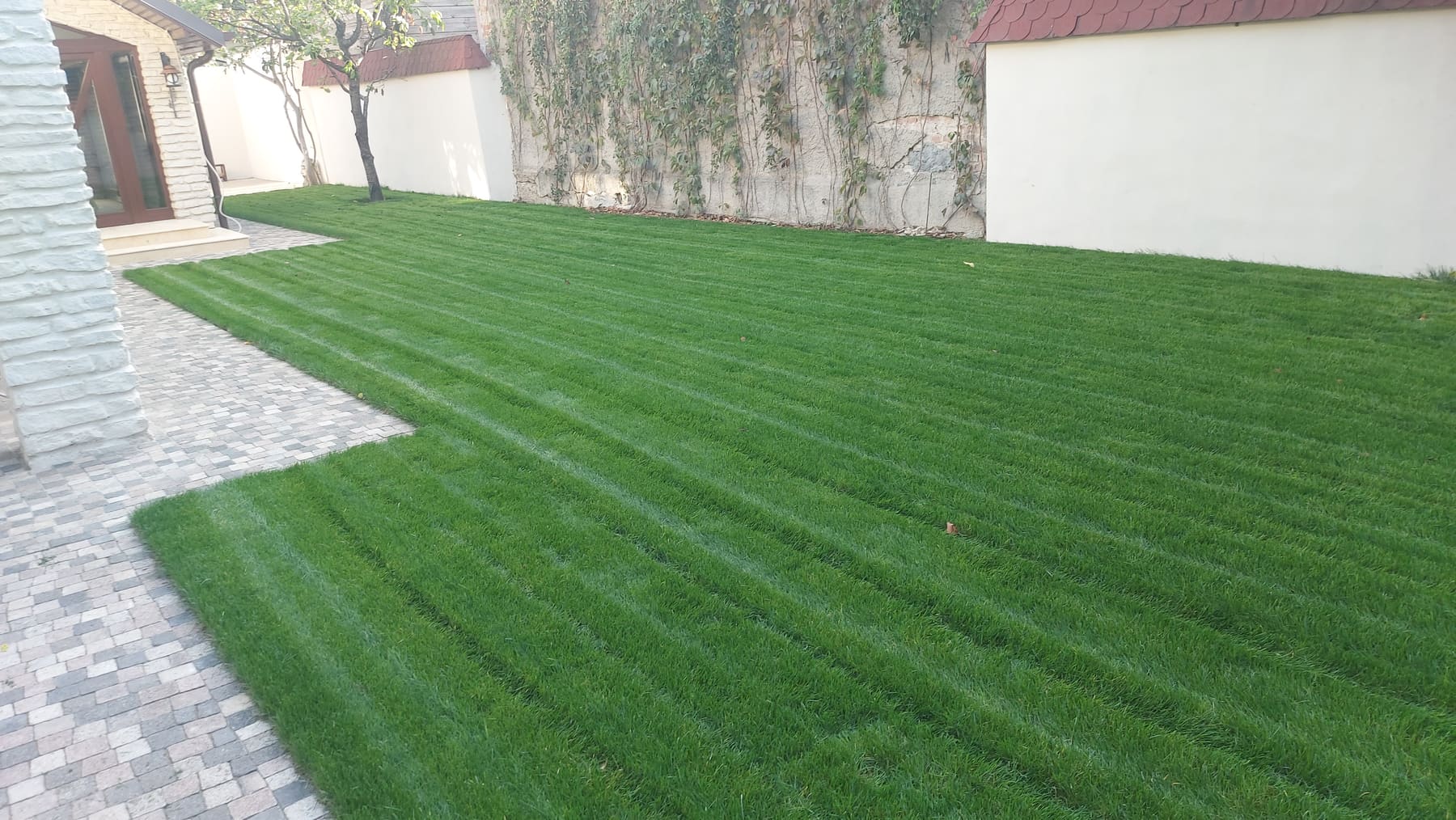După: gazon verde și uniform