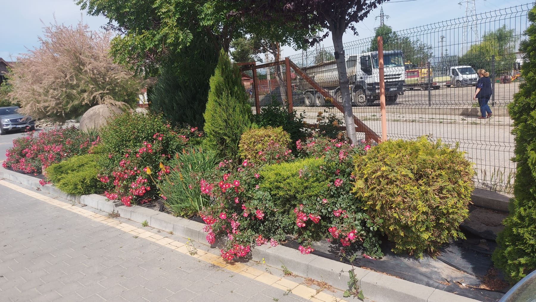 Plantări ornamentale lângă o clădire de birouri
