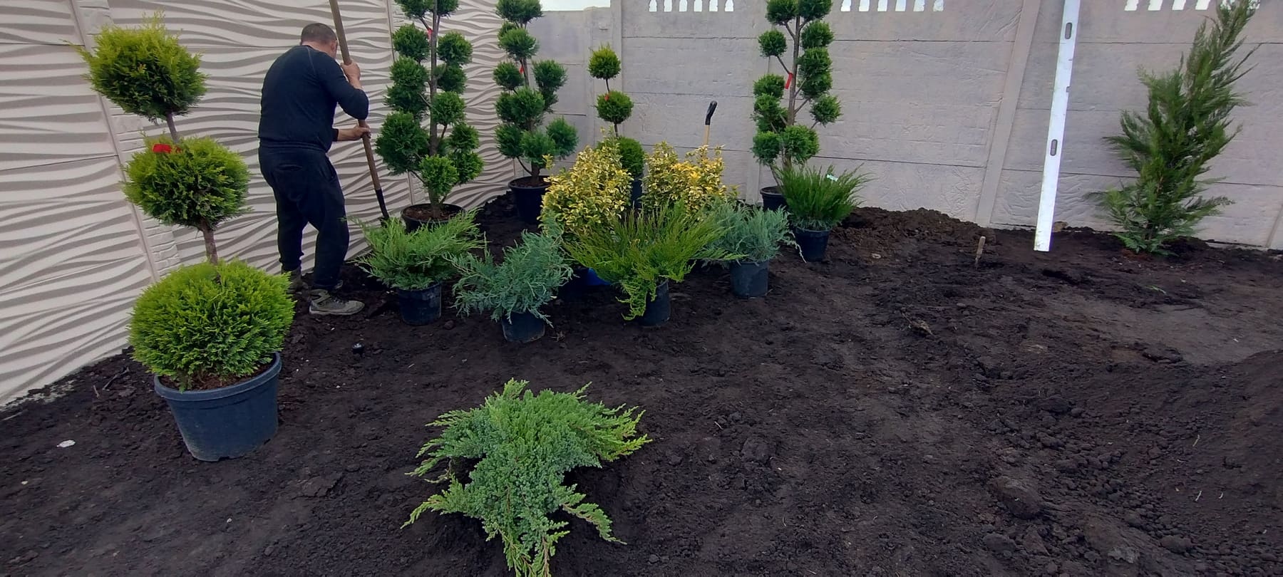 Echipa Floval Garden în timpul unei lucrări de plantare