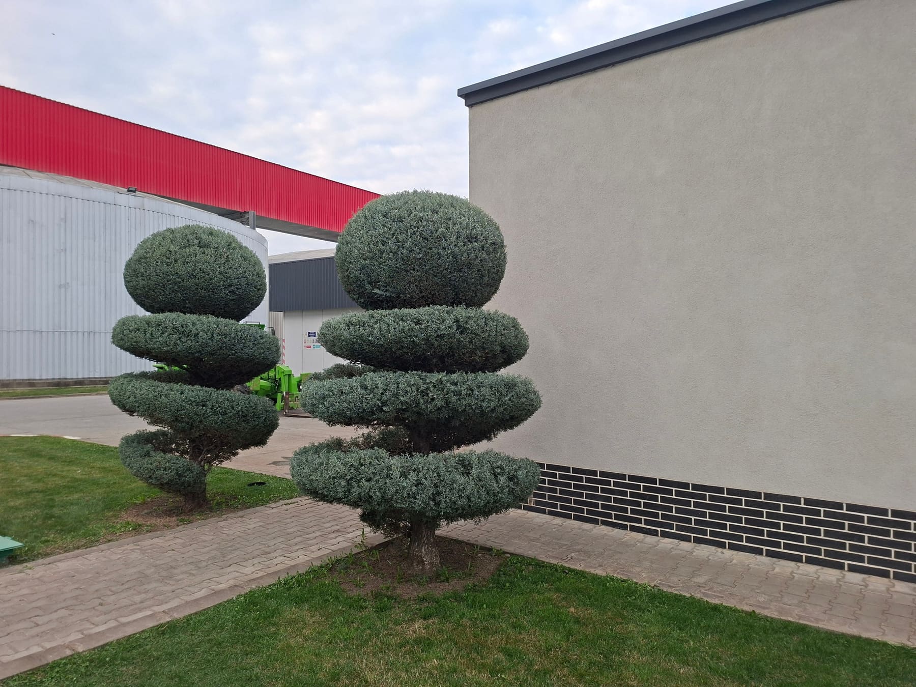 Arbori topiari tunși în forme geometrice